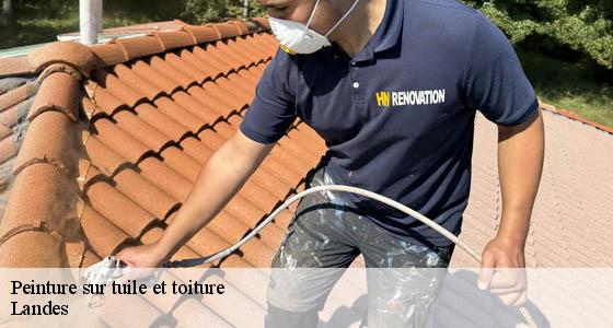 peinture-sur-tuile-et-toiture