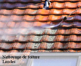 nettoyage-de-toiture