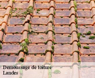 demoussage-de-toiture