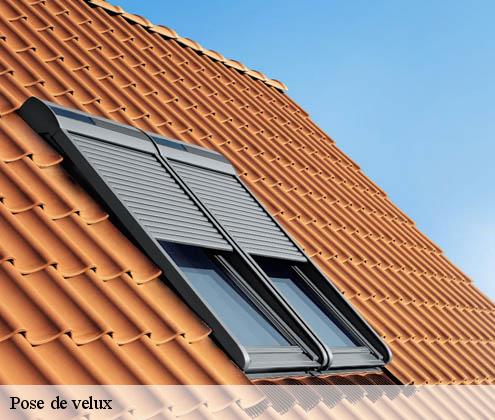 pose-de-velux