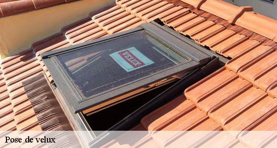 pose-de-velux