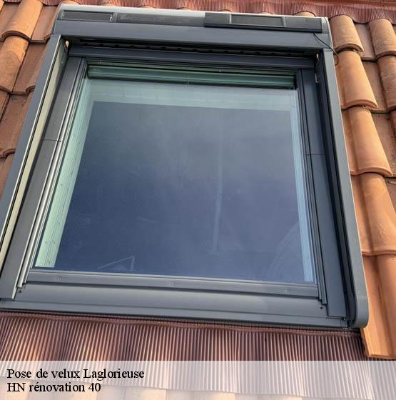 pose-de-velux