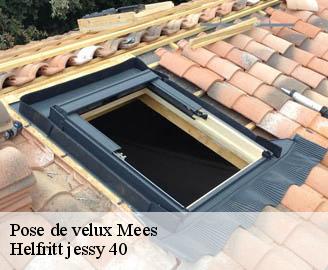 pose-de-velux