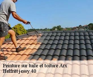 peinture-sur-tuile-et-toiture