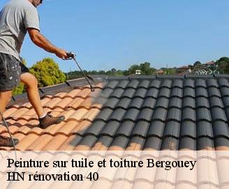 peinture-sur-tuile-et-toiture