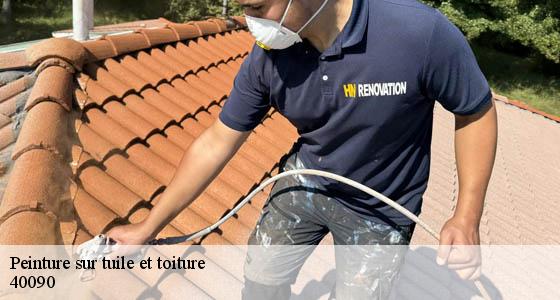peinture-sur-tuile-et-toiture