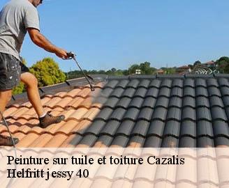 peinture-sur-tuile-et-toiture