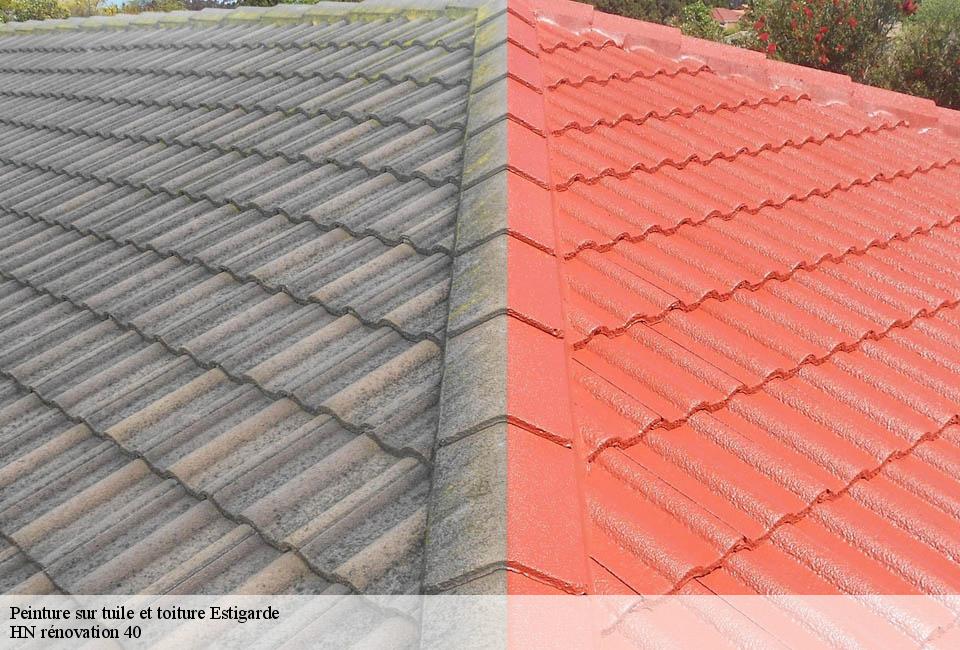 peinture-sur-tuile-et-toiture