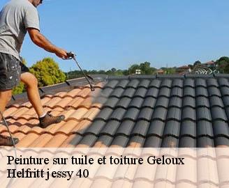 peinture-sur-tuile-et-toiture
