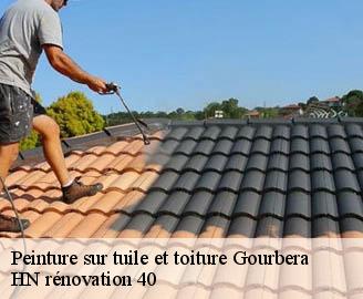 peinture-sur-tuile-et-toiture