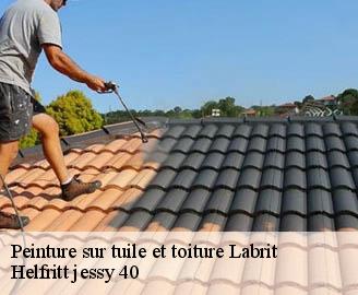 peinture-sur-tuile-et-toiture