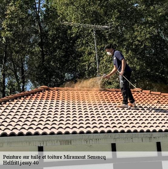 peinture-sur-tuile-et-toiture