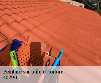 peinture-sur-tuile-et-toiture