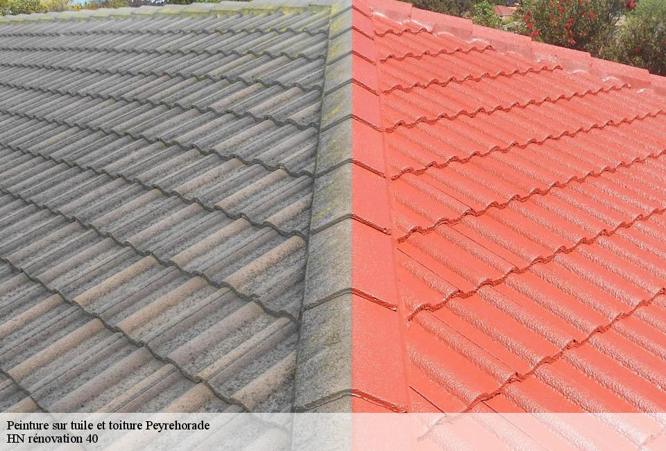 peinture-sur-tuile-et-toiture