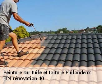 peinture-sur-tuile-et-toiture