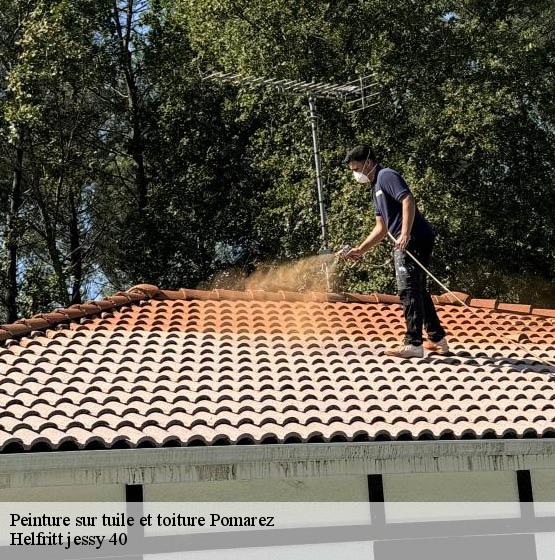 peinture-sur-tuile-et-toiture