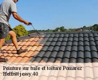 peinture-sur-tuile-et-toiture