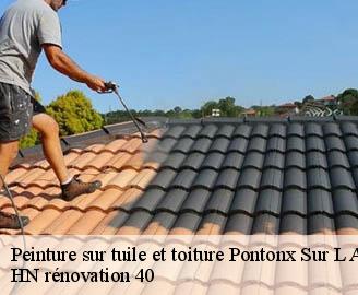 peinture-sur-tuile-et-toiture