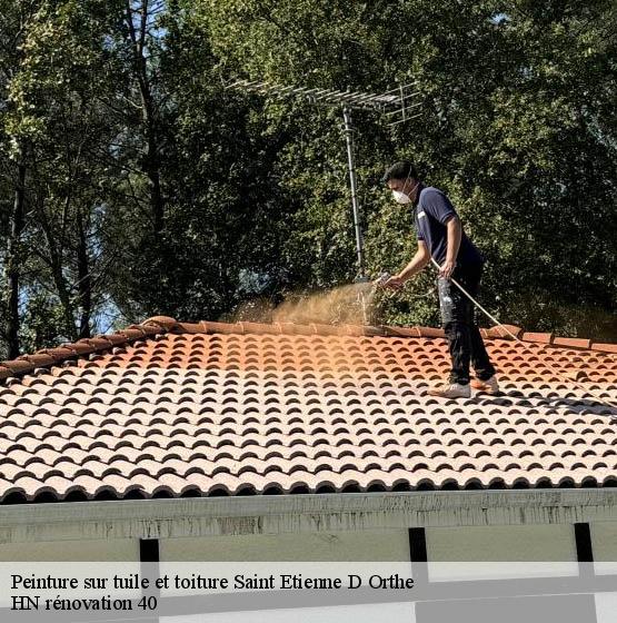 peinture-sur-tuile-et-toiture