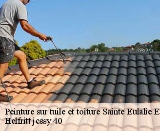 peinture-sur-tuile-et-toiture