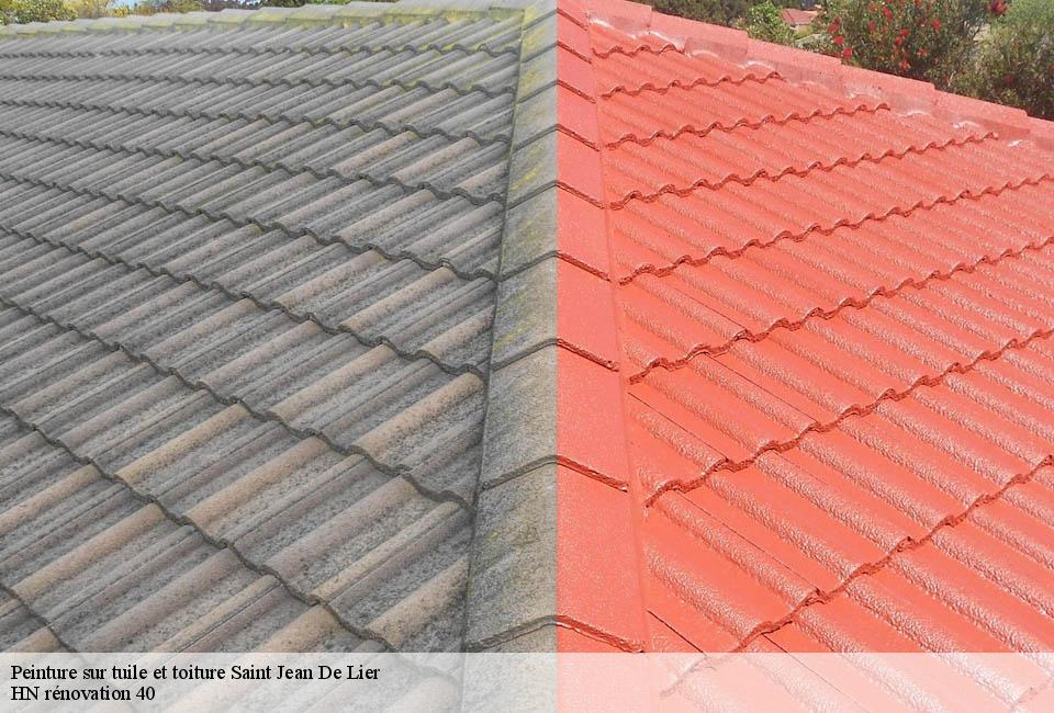 peinture-sur-tuile-et-toiture