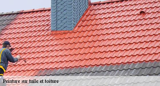 peinture-sur-tuile-et-toiture