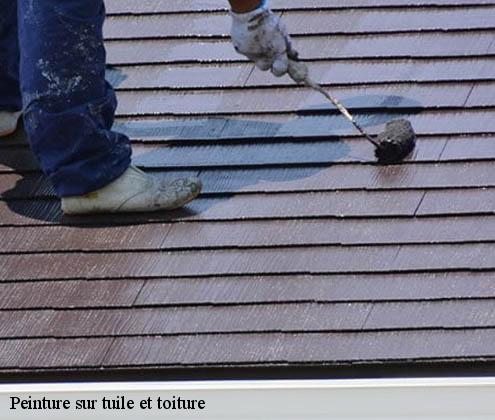 peinture-sur-tuile-et-toiture
