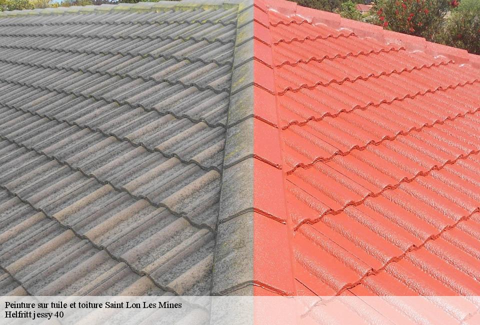 peinture-sur-tuile-et-toiture