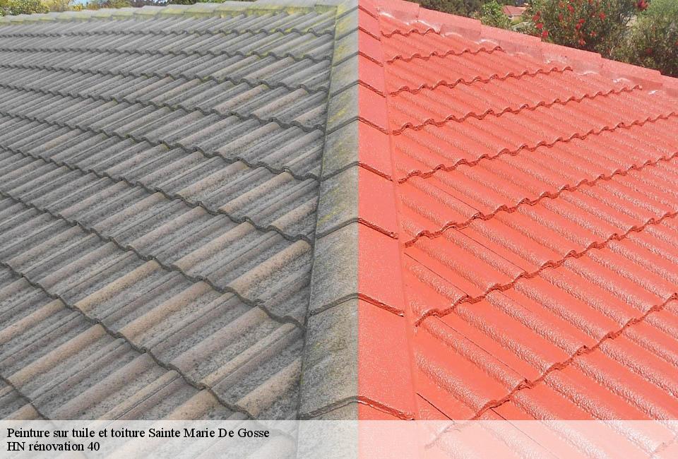 peinture-sur-tuile-et-toiture