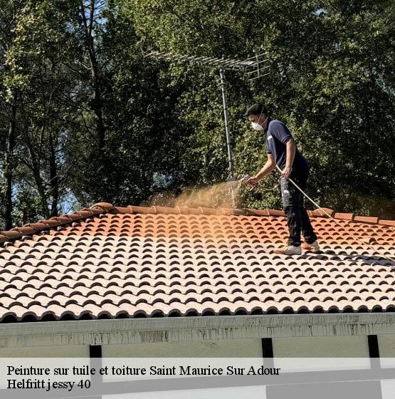 peinture-sur-tuile-et-toiture