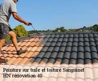 peinture-sur-tuile-et-toiture