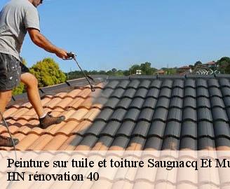 peinture-sur-tuile-et-toiture