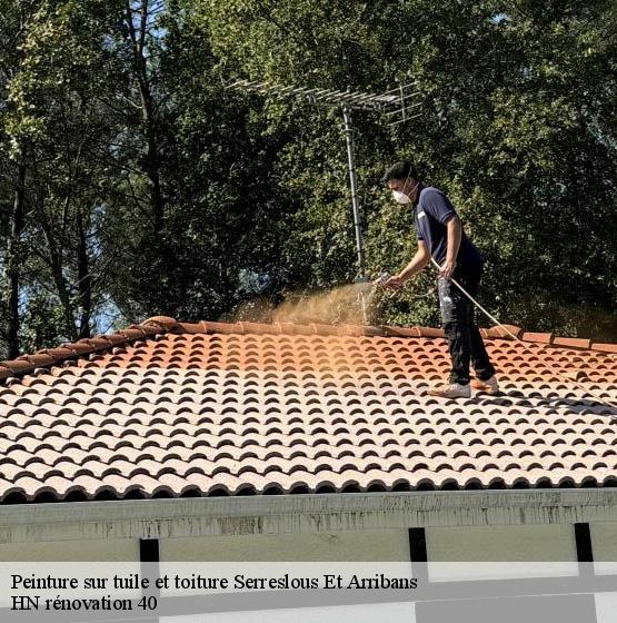 peinture-sur-tuile-et-toiture