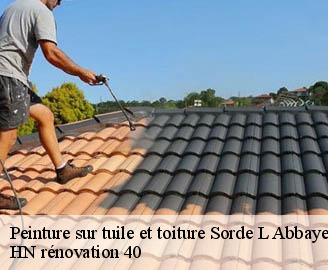 peinture-sur-tuile-et-toiture