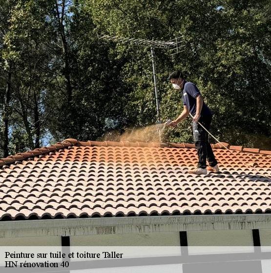 peinture-sur-tuile-et-toiture