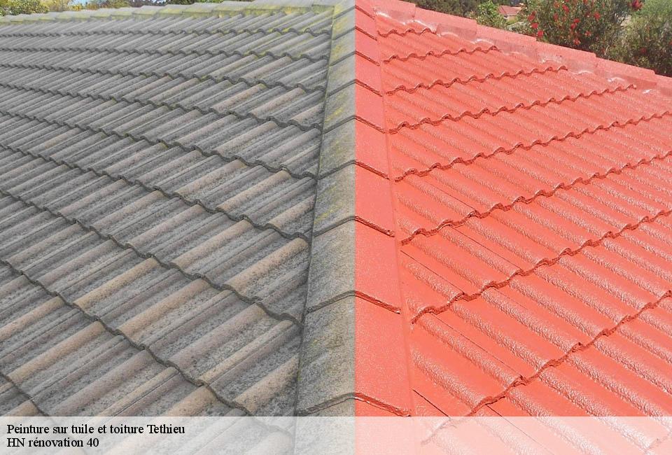 peinture-sur-tuile-et-toiture