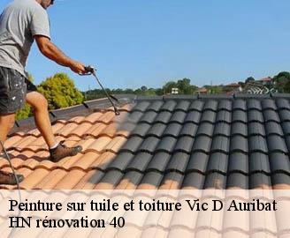 peinture-sur-tuile-et-toiture