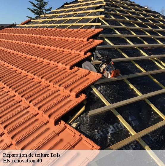 reparation-de-toiture