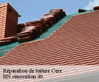 reparation-de-toiture