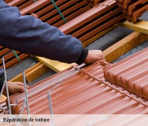 reparation-de-toiture
