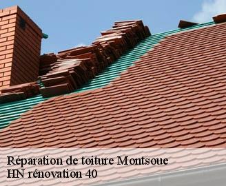 reparation-de-toiture