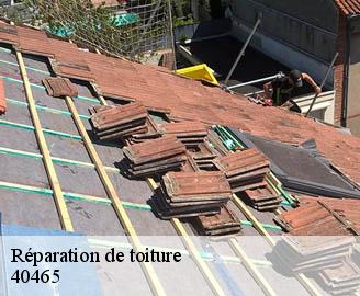 reparation-de-toiture