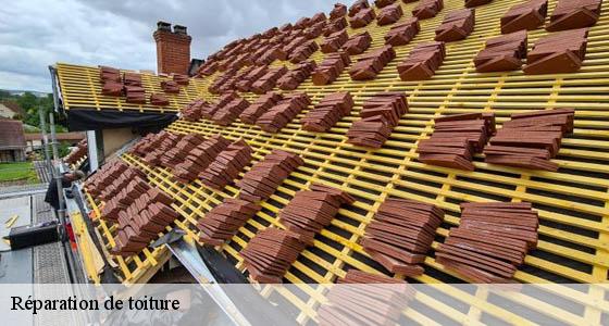 reparation-de-toiture