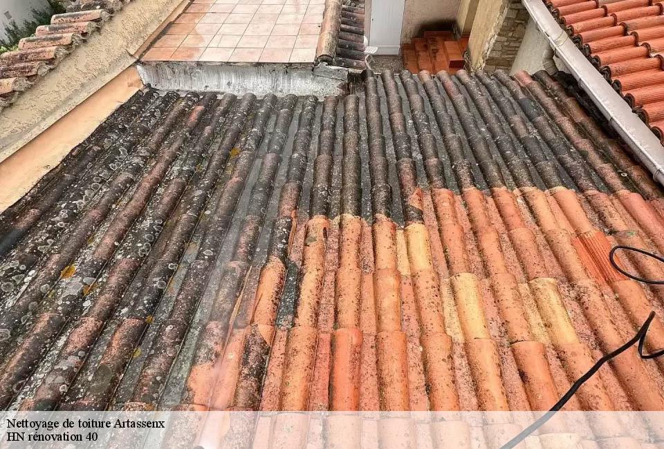 nettoyage-de-toiture