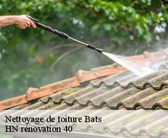 nettoyage-de-toiture