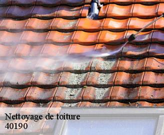 nettoyage-de-toiture