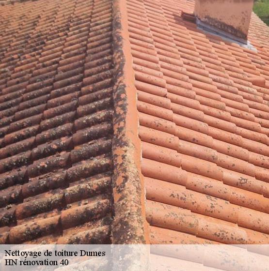 nettoyage-de-toiture