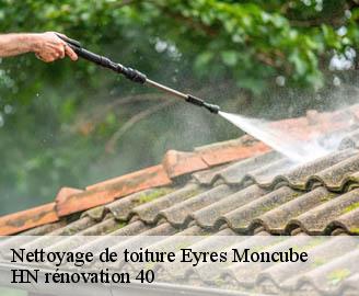 nettoyage-de-toiture