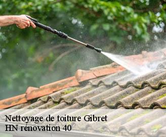 nettoyage-de-toiture