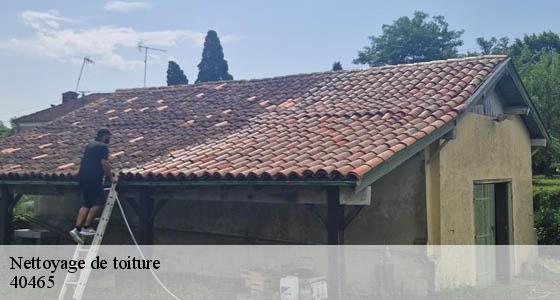nettoyage-de-toiture